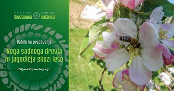 Predavanje Nega sadnega drevja in jagodičja skozi leto