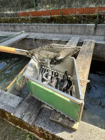 Ribogojnica Lajb, foto Mitja Mežnar