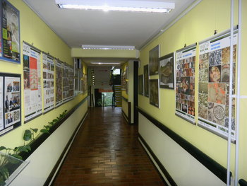 Vabljeni na ogled razstave "SKRIVOSTI MATERE ZEMLJE – Ohranimo naravo za naše vnuke"