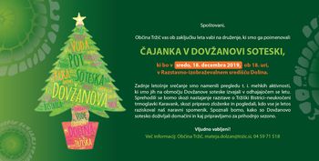 Čajanka v Dovžanovi soteski