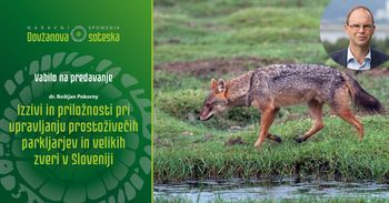 Izzivi in priložnosti pri upravljanju prostoživečih parkljarjev  in velikih zveri v Sloveniji - vabilo na predavanje