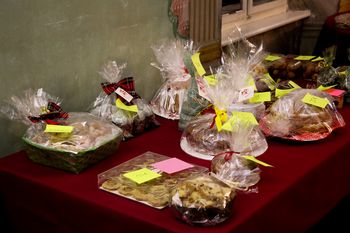 Na dobrodelni dražbi v Tržiškem muzeju zbranih največ sredstev doslej