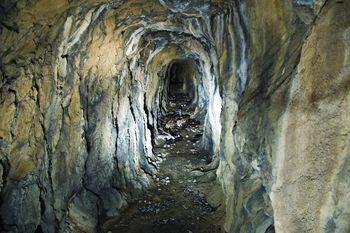 V občini Tržič se dogaja