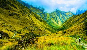 9 spoznanj celestinske prerokbe in kako jih uporabiti vsak dan