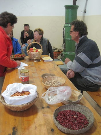 PRIPRAVA VRTA NA PRVE SETVE, OBDELAVA TAL IN OSNOVNO GNOJENJE 