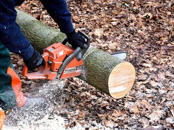 Tečaji varnega dela za lastnike gozdov Tečaji varnega dela za lastnike gozdov