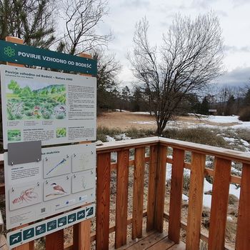 Ob svetovnem dnevu mokrišč interpretacijska točka Ob svetovnem dnevu mokrišč interpretacijska točka