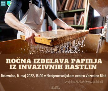 Ročna izdelava papirja iz invazivnih rastlin