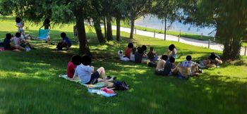 Poostren nadzor javnega reda in miru