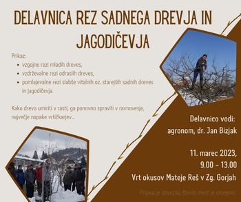 Delavnica rez sadnega drevja