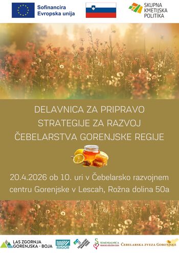 Delavnica za pripravo Strategije razvoja čebelarstva na Gorenjskem 2040