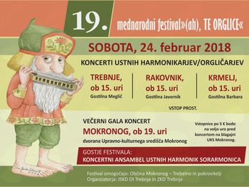 19. mednarodni festival "(ah), TE ORGLICE"