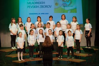 Pesem Pomladne ladje v Mokronogu