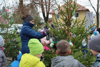 Čarobne smrekice v mestnem parku