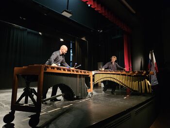 Koncert tolkalcev Duo Dendrocopos v Mokronogu