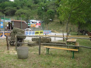 Prve dirke z osli so se odvijale že leta 1976 