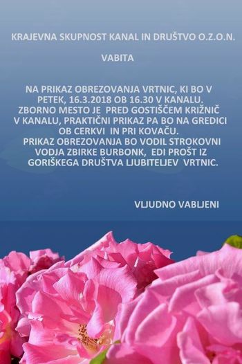 Prikaz obrezovanja vrtnic