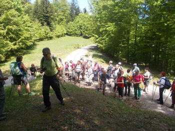 12. Trdinov pohod na Ložko steno