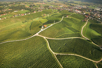 PLANINSKI DAN V SLOVENSKIH KONJICAH