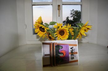 Z Bojanom Tomažičem v Muzeju norosti