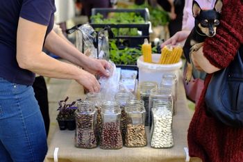 NORA POMLADNA IZMENJAVA NA GRADU CMUREK