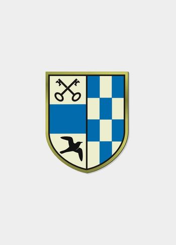 Asfaltiranje ceste v Bašlju