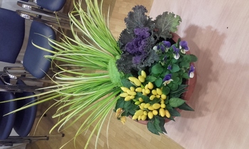 Delavnica izdelovanja jesenskih aranžmajev na Območni obrtno-podjetniški zbornici Radovljica