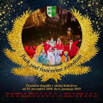 Drsališče in drsalna steza - Park pod tisočerimi zvezdami