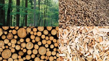 Pomemben trajnostni energent naše države je les