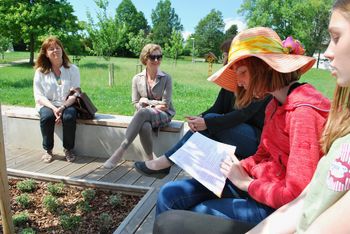 KAKŠNO DREVO ZRASTE IZ MAČKA