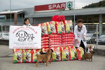 Z donacijo hrane osrečili štirinožne varovance treh društev za zaščito živali
