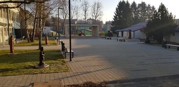 Galerija likovnih samorastnikov