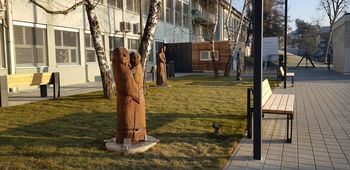 Galerija likovnih samorastnikov