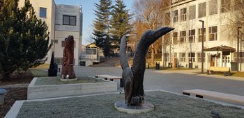 Galerija likovnih samorastnikov