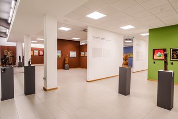 Galerija likovnih samorastnikov