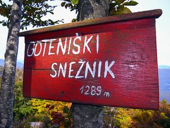 Planinski izlet na Kameni zid in Goteniški Snežnik