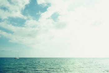 Piranski zaliv: Wojzeck