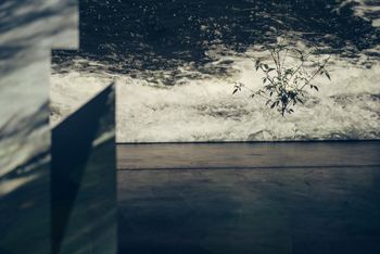 Narodna sprava: Krajine svobode