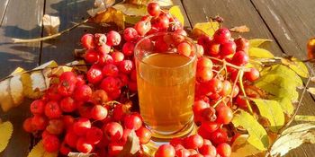 jerebika, štrudelj, ples pa še kaj