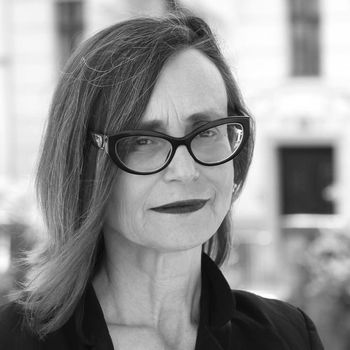 Dežela pridnih: Od turbofašizma do sistematizacije razčlovečevanja