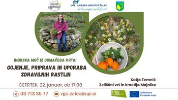 Imunska moč iz domačega vrta: gojenje, priprava in uporaba zdravilnih rastlin s Katjo Temnik