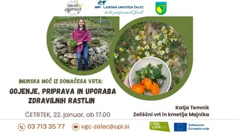 Imunska moč iz domačega vrta: gojenje, priprava in uporaba zdravilnih rastlin s Katjo Temnik