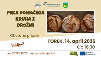 Peka domačega kruha z drožmi