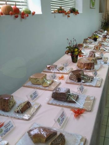 V Žužemberku že 5. ocenjevanje potic