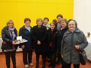 Iz Žužemberka v Šentjernej kar deset potic