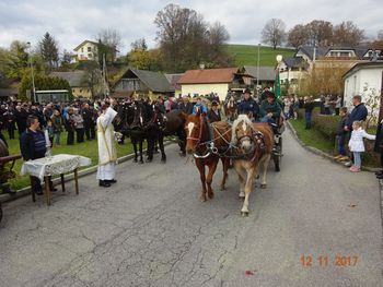 Suhokranjski konjerejci na Martinovanju na Biču