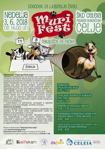 PASJE IGRE BREZ MEJA PASJE IGRE BREZ MEJA