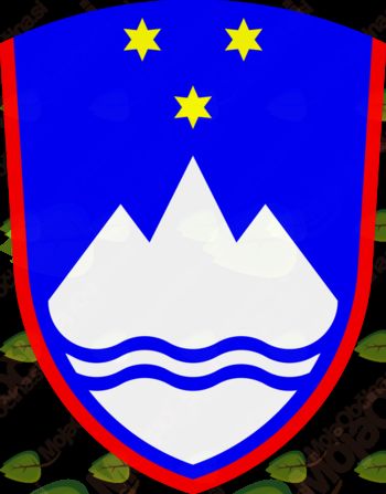 Dolžnosti organizatorjev javnih prireditev za zagotavljanje varnosti