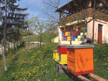 Praznovanje 3. svetovnega dne čebel Praznovanje 3. svetovnega dne čebel