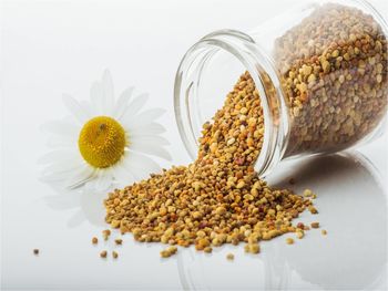 Cvetni prah – koristen dodatek naši prehrani